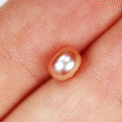Freshwater Pearl, 6-6.5mm AAAA Half Drilled Rose Button Round Pearl Studs, For Making Earring/Ring, Hole 1mm