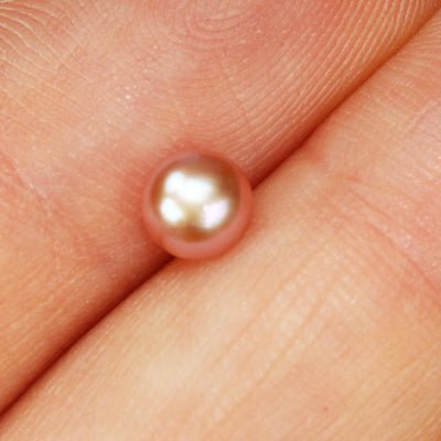 Freshwater Pearl, 5-5.5mm AAAA Half Drilled Rose/Lavender Button Round Pearl Studs, for making earring/ring , hole 1mm