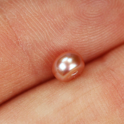 Freshwater Pearl, 5-5.5mm AAAA Half Drilled Rose/Lavender Button Round Pearl Studs, for making earring/ring , hole 1mm