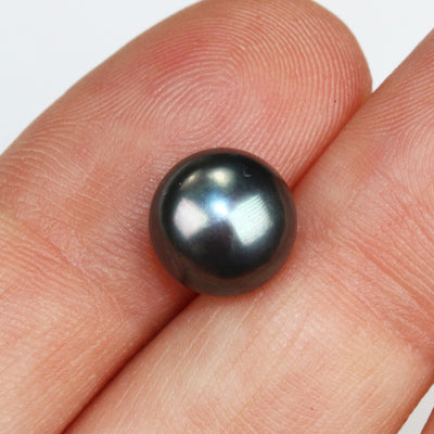 Freshwater Pearl, 9-9.5mm 1 Pair AAAA Half Drilled Peacock Color Button Round Pearl Studs, For Making Earring/Ring, Hole 1mm