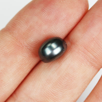 Freshwater Pearl, 9-9.5mm 1 Pair AAAA Half Drilled Peacock Color Button Round Pearl Studs, For Making Earring/Ring, Hole 1mm