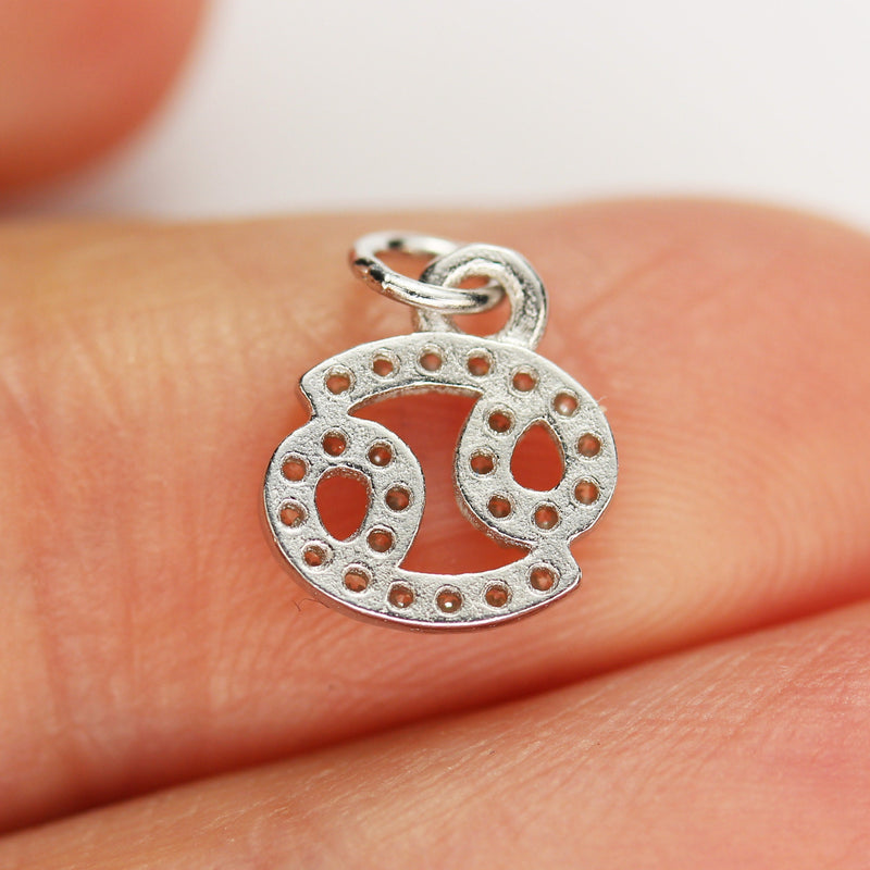 Silver Charm 1pc Astrology Zodiac Charm, 925 Sterling Silver with Cubic Zirconia Jewellery findings Charm Beads ,8mm charm